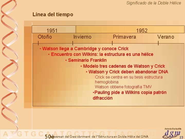 Significado de la Doble Hélice Línea del tiempo 1951 Otoño | Invierno 1952 Primavera