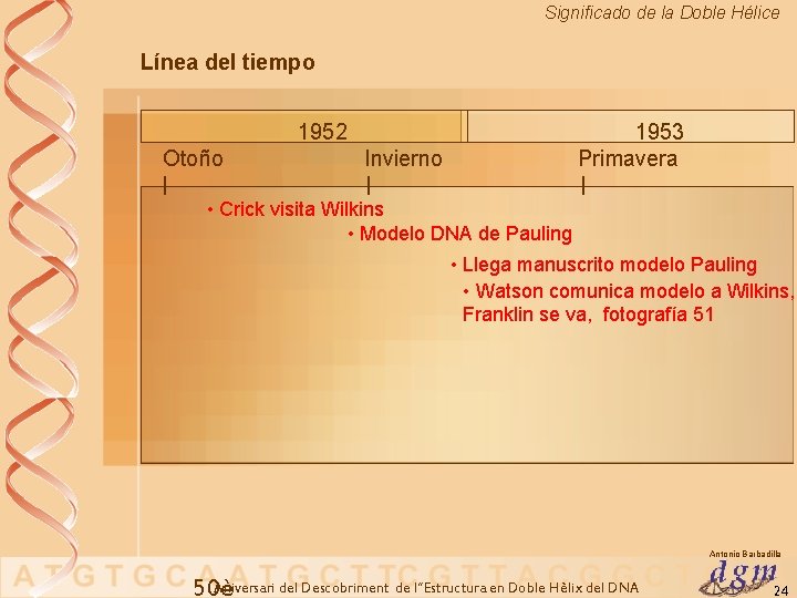 Significado de la Doble Hélice Línea del tiempo 1952 Otoño | Invierno 1953 Primavera