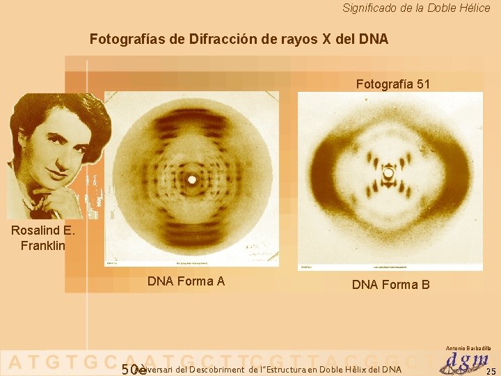 Significado de la Doble Hélice Fotografías de Difracción de rayos X del DNA Fotografía