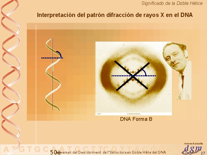 Significado de la Doble Hélice Interpretación del patrón difracción de rayos X en el