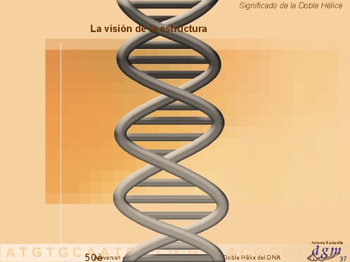 Significado de la Doble Hélice La visión de la estructura Antonio Barbadilla Aniversari del