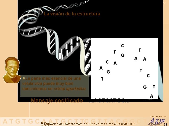 Significado de la Doble Hélice La visión de la estructura La parte más esencial