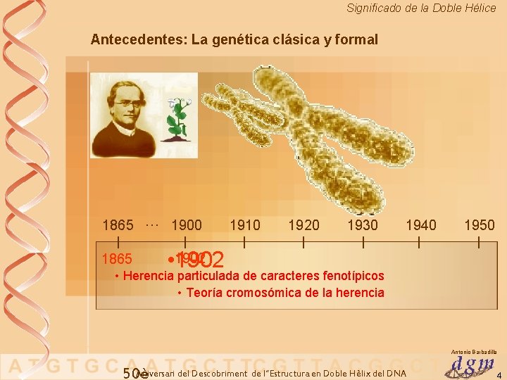 Significado de la Doble Hélice Antecedentes: La genética clásica y formal 1865 ··· 1900