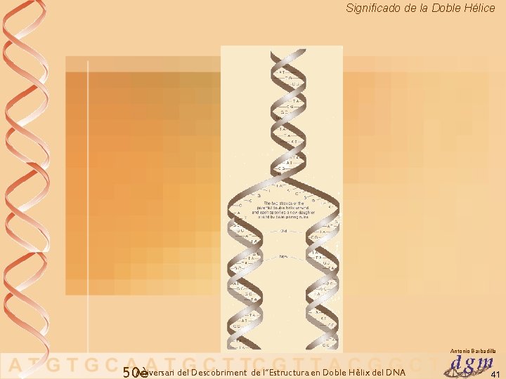 Significado de la Doble Hélice Antonio Barbadilla Aniversari del Descobriment de l’’Estructura en Doble