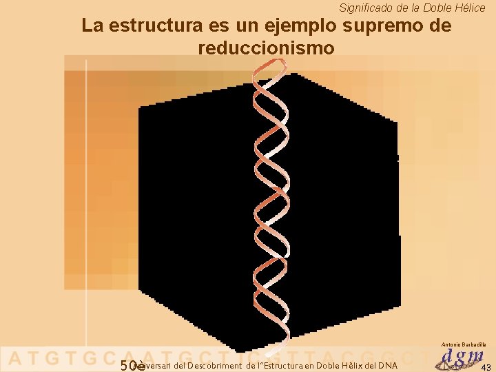 Significado de la Doble Hélice La estructura es un ejemplo supremo de reduccionismo Antonio