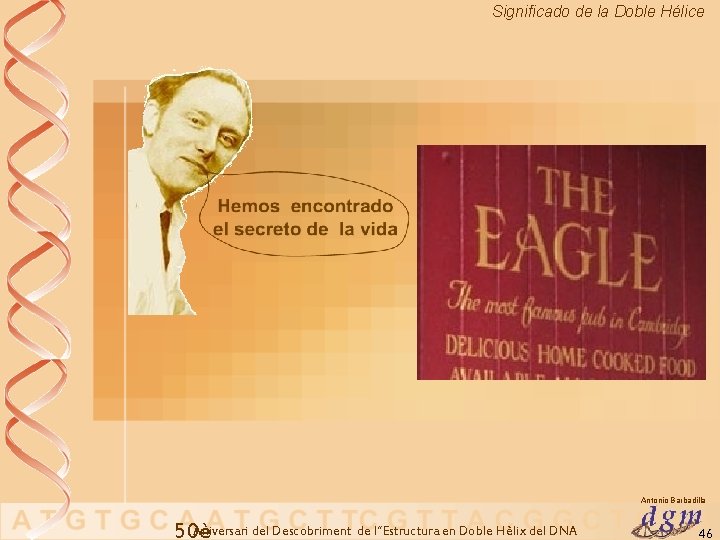 Significado de la Doble Hélice Antonio Barbadilla Aniversari del Descobriment de l’’Estructura en Doble