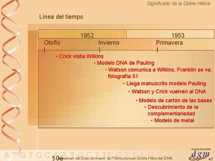 Significado de la Doble Hélice Línea del tiempo 1952 Otoño | Invierno 1953 Primavera