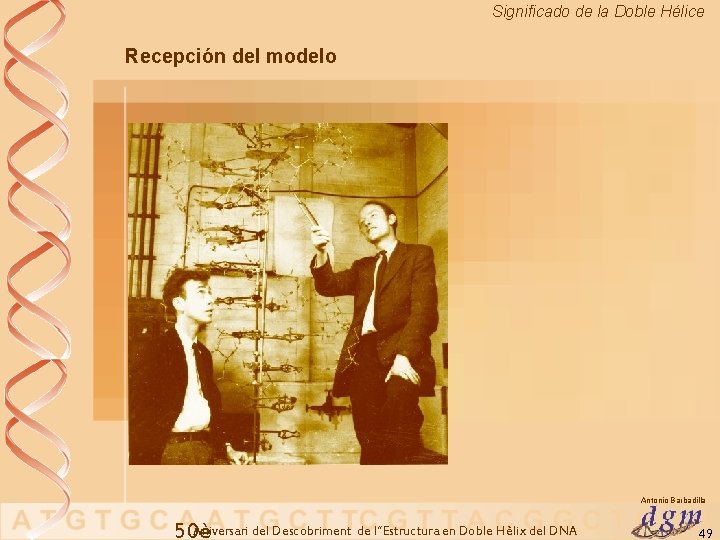 Significado de la Doble Hélice Recepción del modelo Antonio Barbadilla Aniversari del Descobriment de