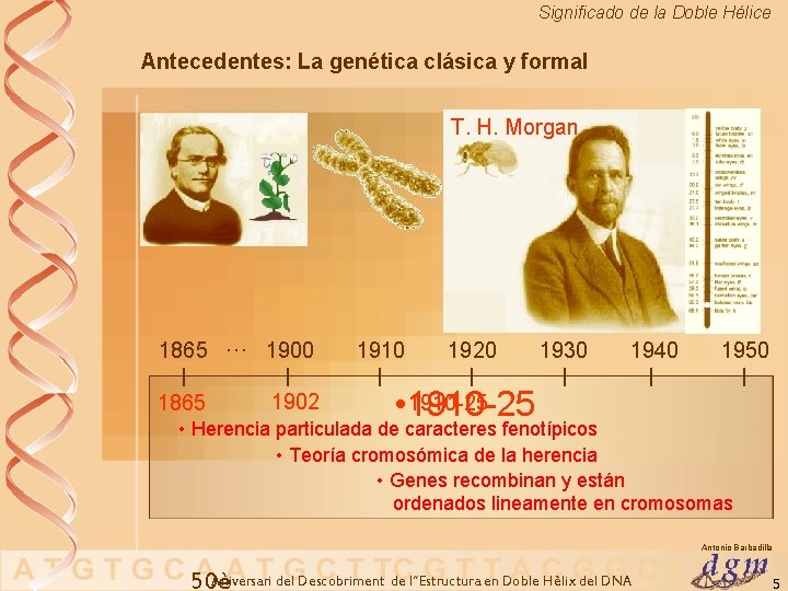 Significado de la Doble Hélice Antecedentes: La genética clásica y formal T. H. Morgan