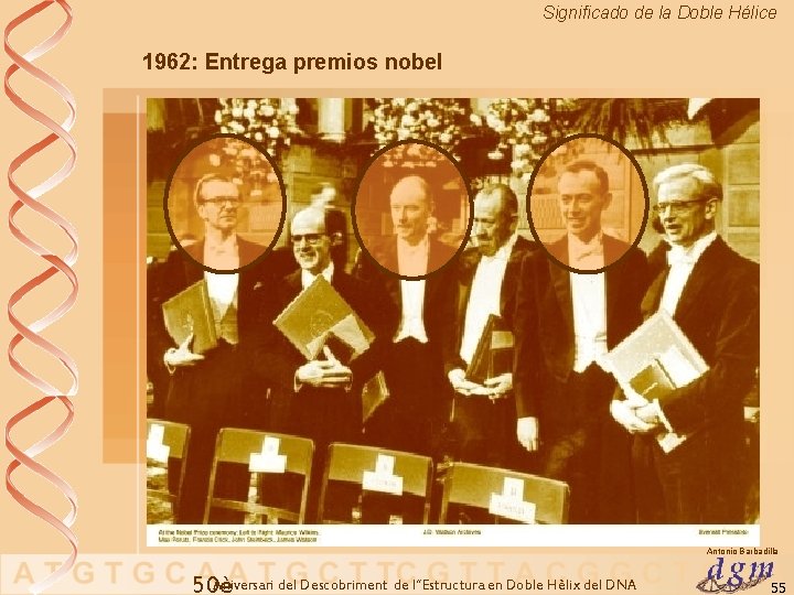 Significado de la Doble Hélice 1962: Entrega premios nobel Antonio Barbadilla Aniversari del Descobriment