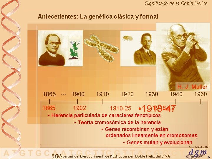 Significado de la Doble Hélice Antecedentes: La genética clásica y formal 1865 ··· 1900