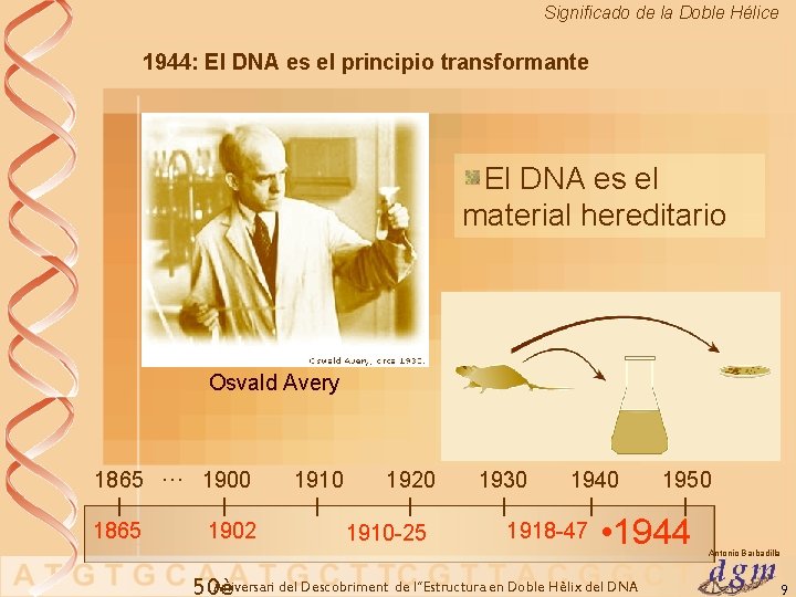 Significado de la Doble Hélice 1944: El DNA es el principio transformante El DNA