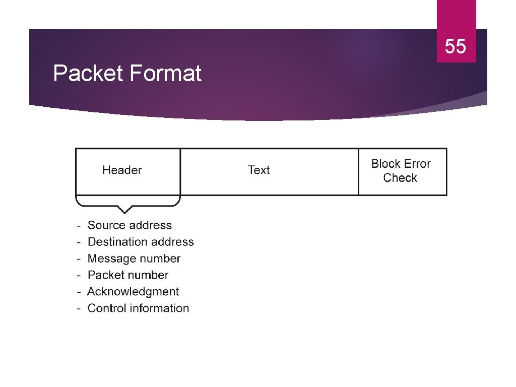 55 Packet Format 