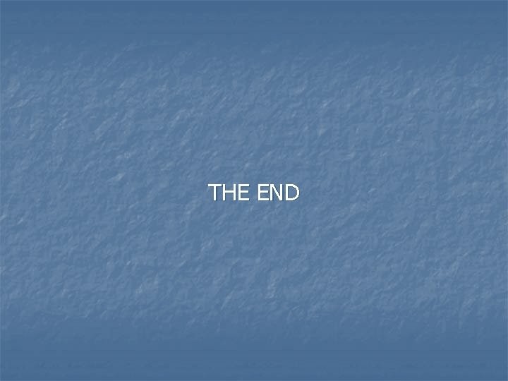THE END 