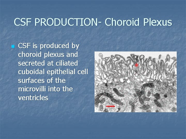 CSF PRODUCTION- Choroid Plexus n CSF is produced by choroid plexus and secreted at