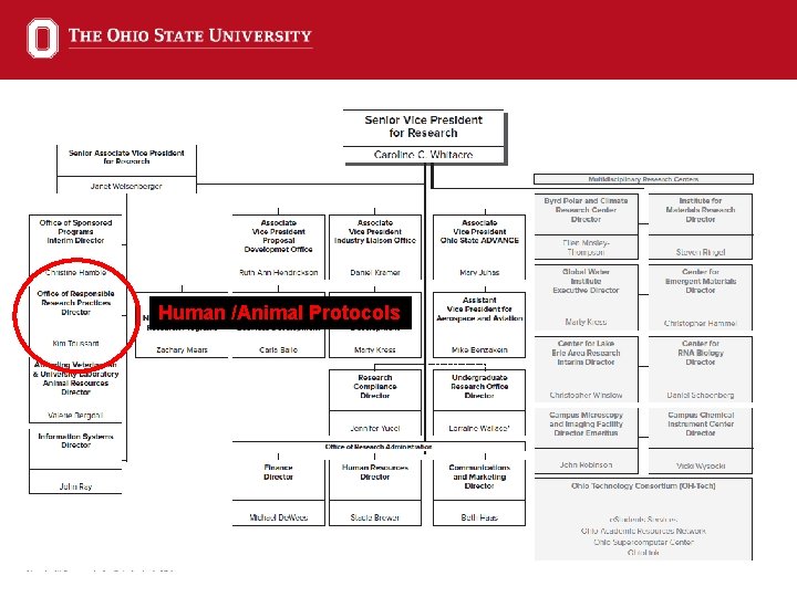 Human /Animal Protocols 