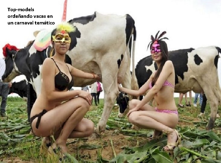 Top-models ordeñando vacas en un carnaval temático 