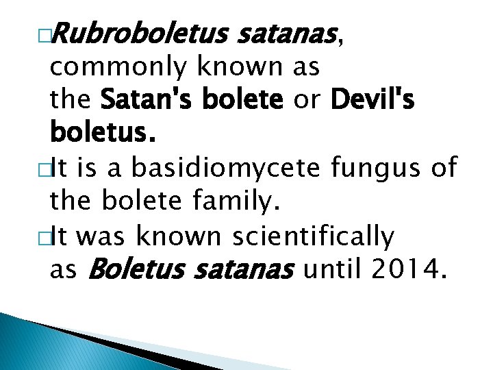 �Rubroboletus satanas, commonly known as the Satan's bolete or Devil's boletus. �It is a
