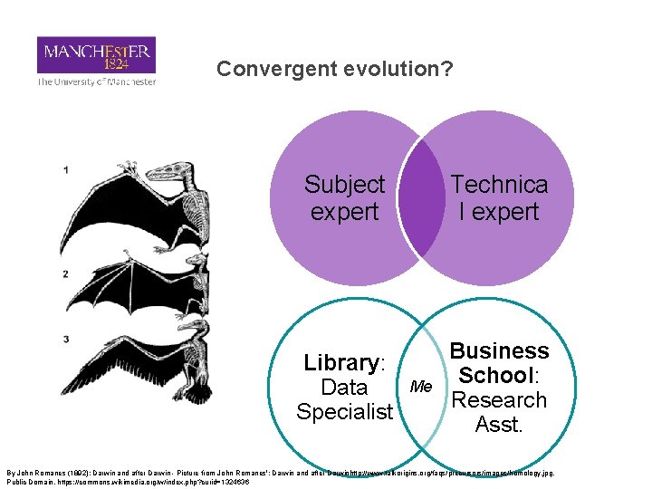 Convergent evolution? Subject expert Technica l expert Library: Data Specialist Business School: Research Asst.
