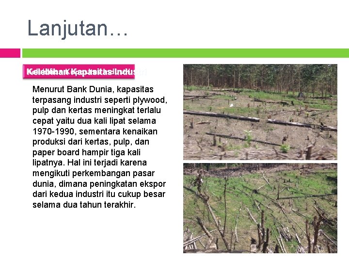 Lanjutan… Kelebihan Kapasitas Industri Menurut Bank Dunia, kapasitas terpasang industri seperti plywood, pulp dan