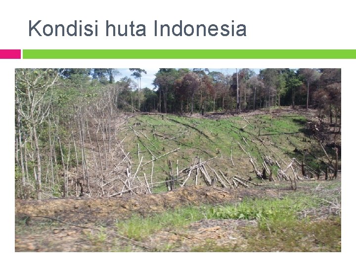 Kondisi huta Indonesia 