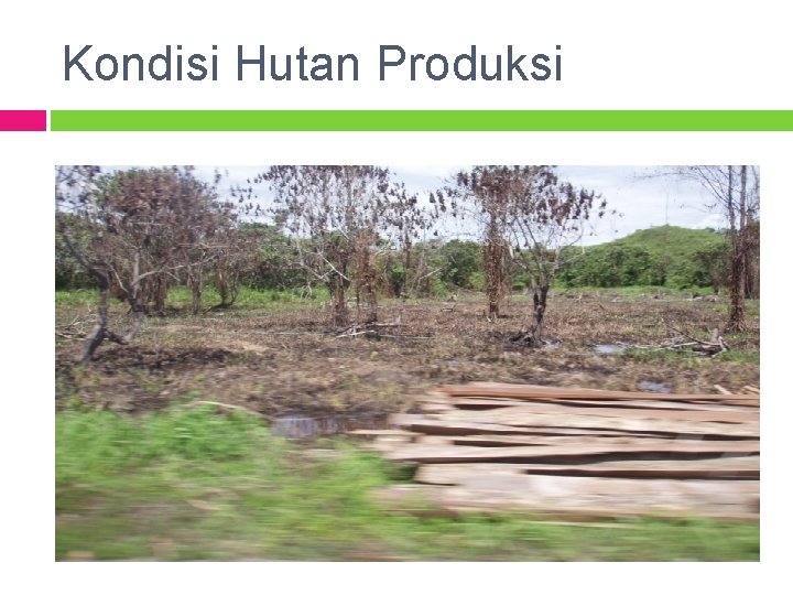 Kondisi Hutan Produksi 