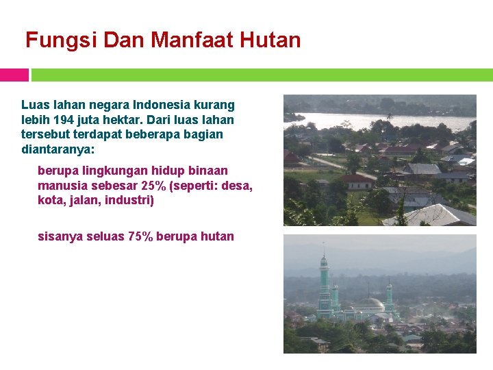 Fungsi Dan Manfaat Hutan Luas lahan negara Indonesia kurang lebih 194 juta hektar. Dari