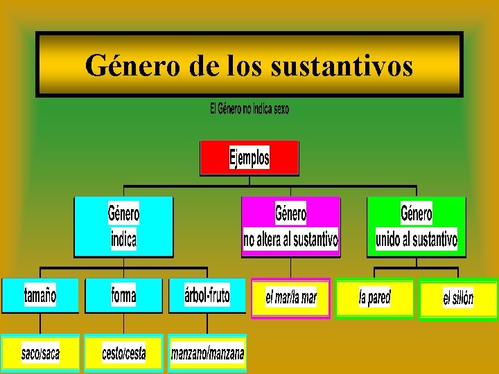 Género de los sustantivos 