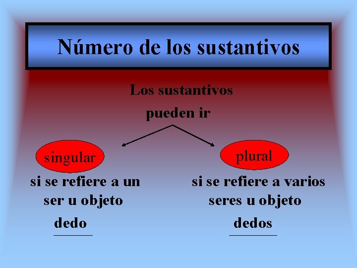 Número de los sustantivos Los sustantivos pueden ir singular si se refiere a un