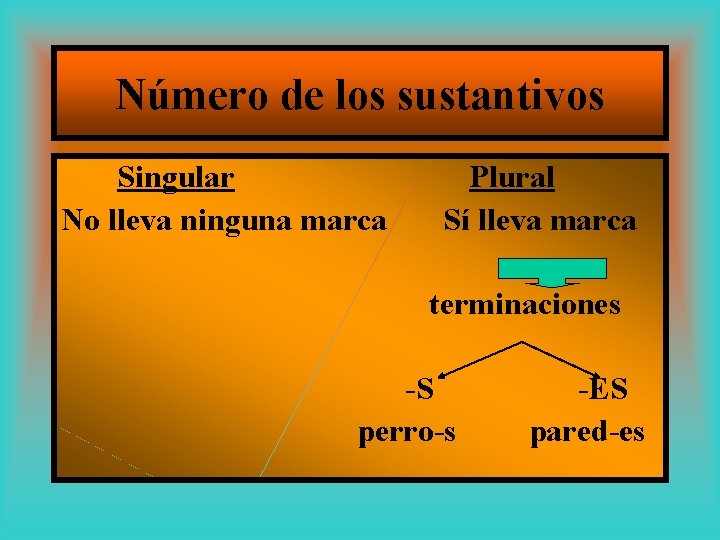 Número de los sustantivos Singular No lleva ninguna marca Plural Sí lleva marca terminaciones