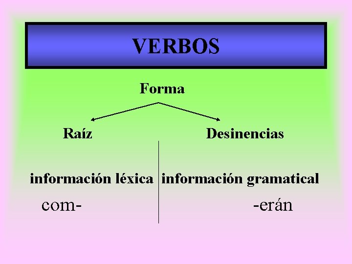 VERBOS Forma Raíz Desinencias información léxica información gramatical com- -erán 