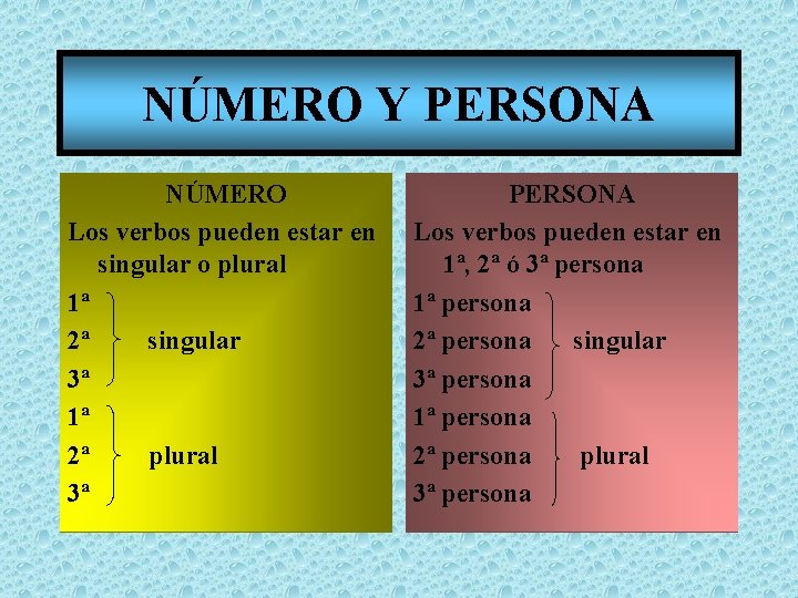NÚMERO Y PERSONA NÚMERO Los verbos pueden estar en singular o plural 1ª 2ª