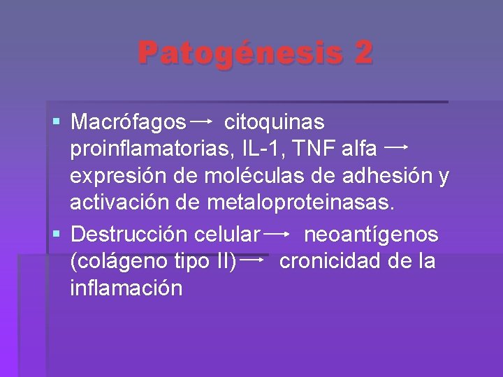 Patogénesis 2 § Macrófagos citoquinas proinflamatorias, IL-1, TNF alfa expresión de moléculas de adhesión