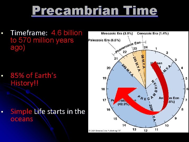 Precambrian Time • Timeframe: 4. 6 billion • 85% of Earth’s History!! • Simple
