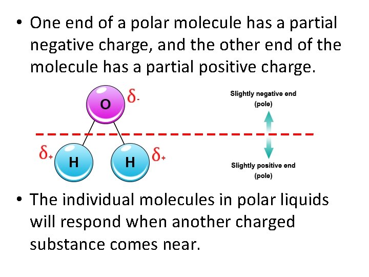  • One end of a polar molecule has a partial negative charge, and