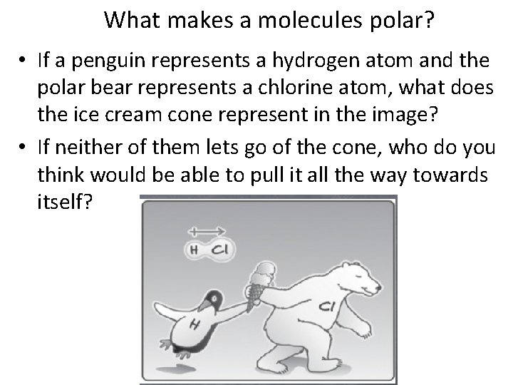 What makes a molecules polar? • If a penguin represents a hydrogen atom and