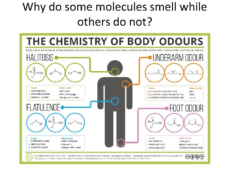 Why do some molecules smell while others do not? 