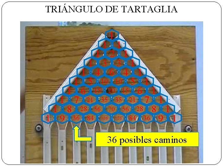 TRIÁNGULO DE TARTAGLIA 1 1 2 1 1 3 3 1 1 4 6