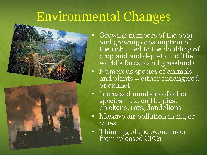 Environmental Changes • Growing numbers of the poor and growing consumption of the rich