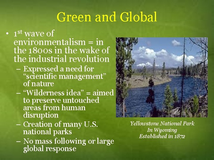 Green and Global • 1 st wave of environmentalism = in the 1800 s