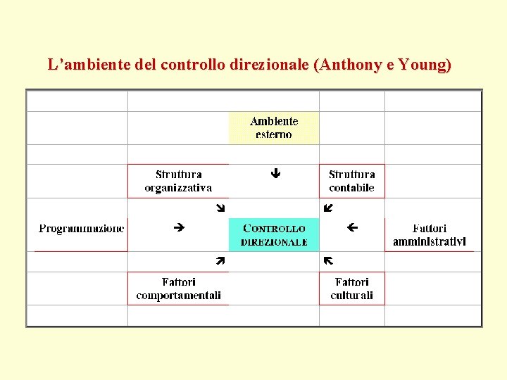 L’ambiente del controllo direzionale (Anthony e Young) 