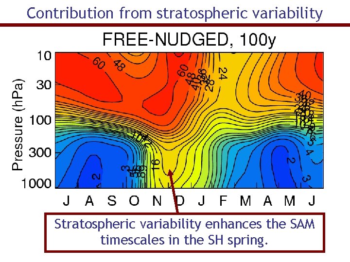 Contribution from stratospheric variability Stratospheric variability enhances the SAM timescales in the SH spring.