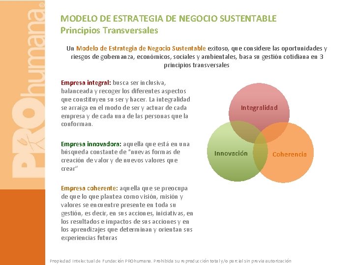 MODELO DE ESTRATEGIA DE NEGOCIO SUSTENTABLE Principios Transversales Un Modelo de Estrategia de Negocio