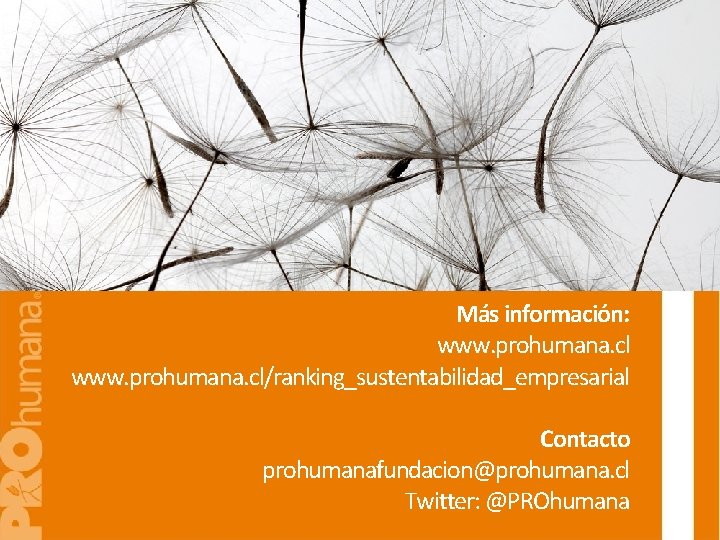Más información: www. prohumana. cl/ranking_sustentabilidad_empresarial Contacto prohumanafundacion@prohumana. cl Twitter: @PROhumana 