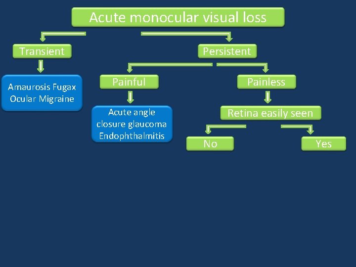 Acute monocular visual loss Transient Amaurosis Fugax Ocular Migraine Persistent Painful Acute angle closure Acute monocular visual loss Transient Amaurosis Fugax Ocular Migraine Persistent Painful Acute angle closure