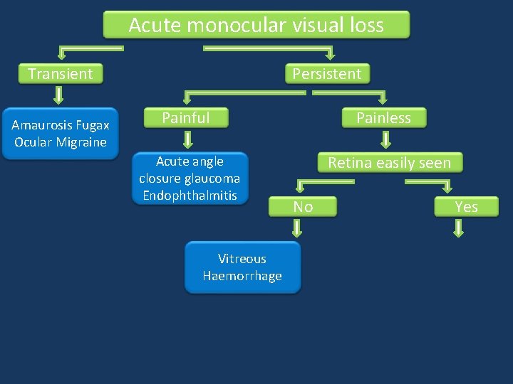 Acute monocular visual loss Transient Amaurosis Fugax Ocular Migraine Persistent Painful Acute angle closure Acute monocular visual loss Transient Amaurosis Fugax Ocular Migraine Persistent Painful Acute angle closure