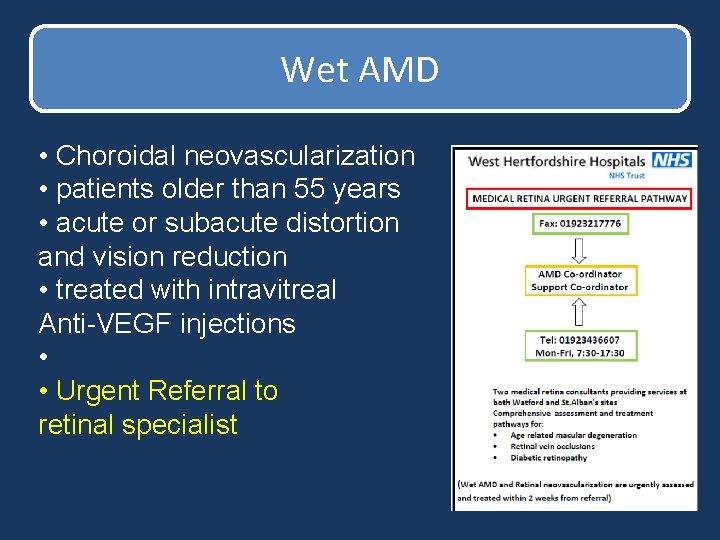 Wet AMD • Choroidal neovascularization • patients older than 55 years • acute or Wet AMD • Choroidal neovascularization • patients older than 55 years • acute or