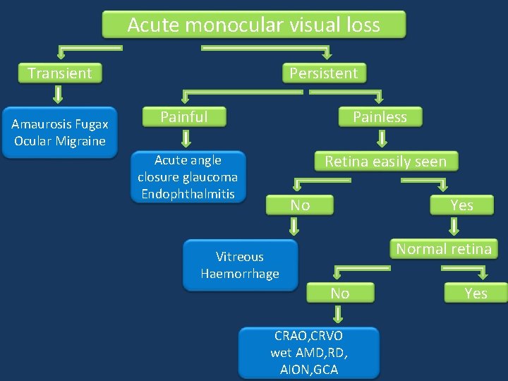 Acute monocular visual loss Transient Amaurosis Fugax Ocular Migraine Persistent Painful Painless Retina easily Acute monocular visual loss Transient Amaurosis Fugax Ocular Migraine Persistent Painful Painless Retina easily