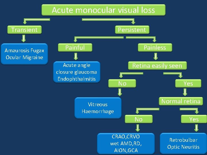Acute monocular visual loss Transient Amaurosis Fugax Ocular Migraine Persistent Painful Painless Retina easily Acute monocular visual loss Transient Amaurosis Fugax Ocular Migraine Persistent Painful Painless Retina easily