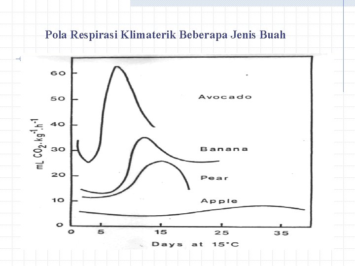 Pola Respirasi Klimaterik Beberapa Jenis Buah 